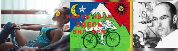 дживик Богородск
