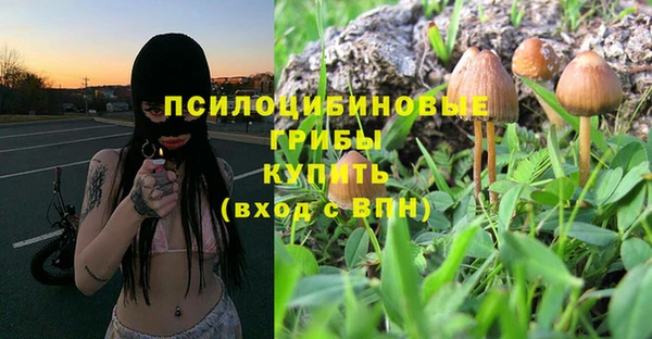 2c-b Россошь