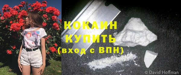 прущие грибы Верхний Тагил
