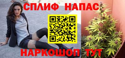 винт Будённовск