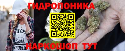 винт Будённовск