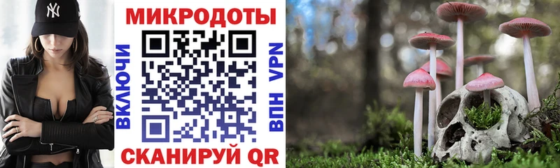 как найти   Тара  Псилоцибиновые грибы мицелий 