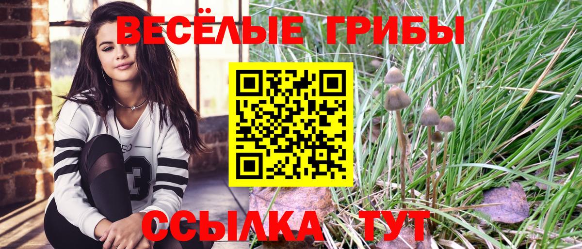 Галлюциногенные грибы Psilocybe Тара